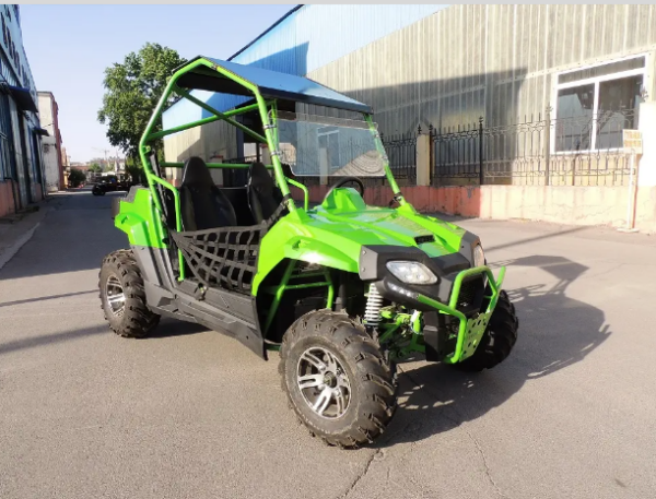 HY-123 - 2023 utv За возрасни 200cc Atvs Quad beach buggy мотоцикл FX200 TIGER Dune Buggy 4x4 - Image 2