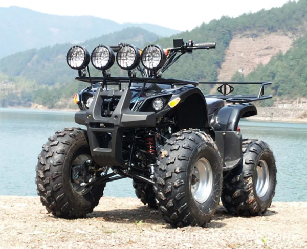 ATV01 - ATVs 125CC 2WD Atv Quad Гас напојувани Atvs за возрасни - Image 6