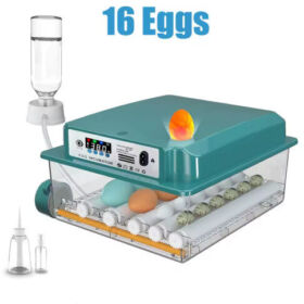 EU Plug Eggs Incubator 16/36 Eggs Digita Mini Automatie инкубатори за шрафирање Јајца од кокошка од гуска препелица