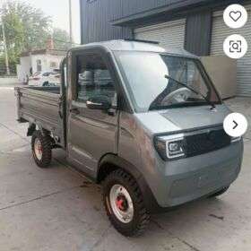 Pierre Cardin Pika - Made in China, High Performance Family Charging Four Wheel Two Seater Small New Energy Electric Pickup Truck for Cargo